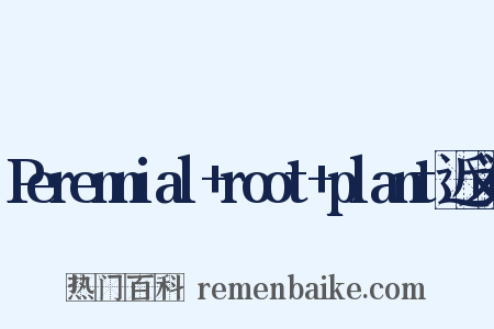 Perennial+root+plant近义词是什么意思的图片
